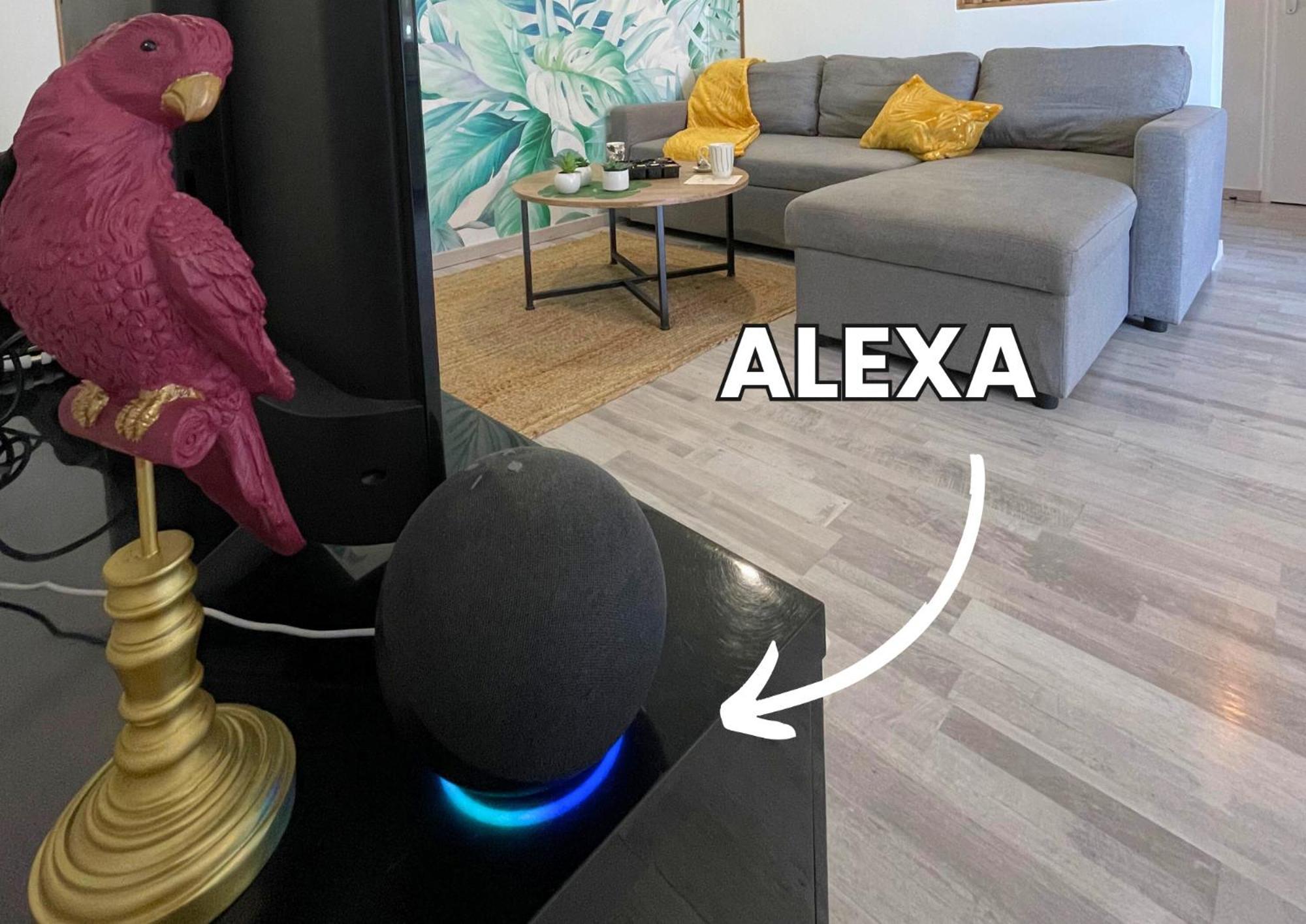 Appartement Le Jungle - Parking Et Wifi Gratuit - Balcon - Alexa à Saint-Alban  Extérieur photo